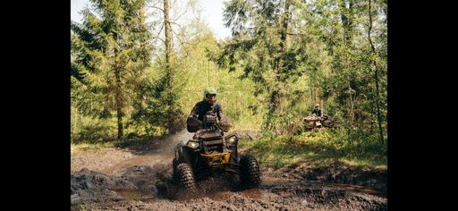 other Polaris scrambler