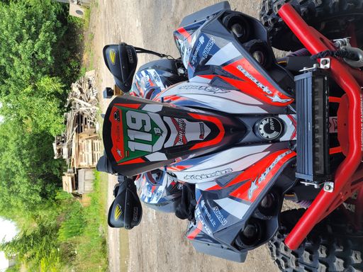 can-am Renegade